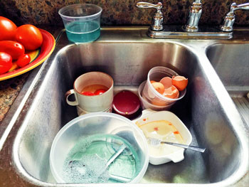 Clogged Garbage Disposal Repair by plumbers of All Pro Plumbing Services in Portland OR 