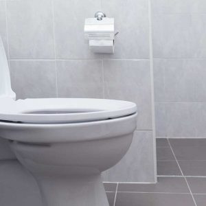 Clogged Toilet Drain Cleaning Services in Portland OR