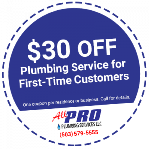 $30 Off First Time Plumbing Service