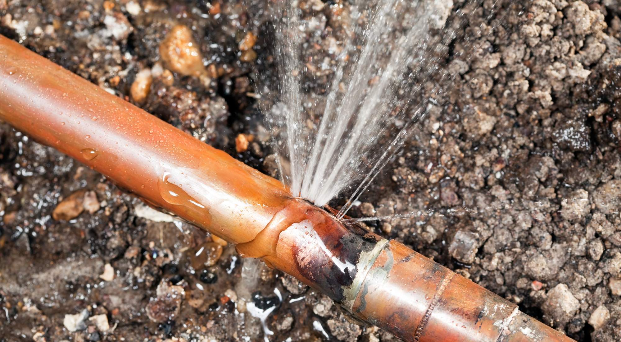 wilsonville main water line repair