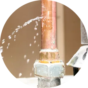 emergency plumber lake oswego