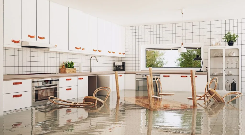 emergency plumber lake oswego